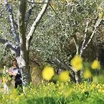 Daire Vento Largo, Casa Irene Ventimiglia