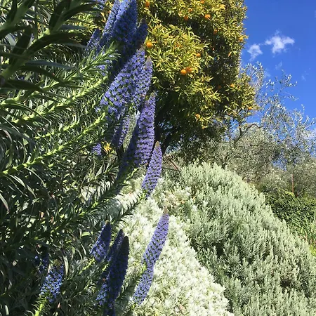 Appartement Vento Largo, Casa Irene