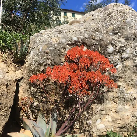 Vento Largo, Casa Irene
