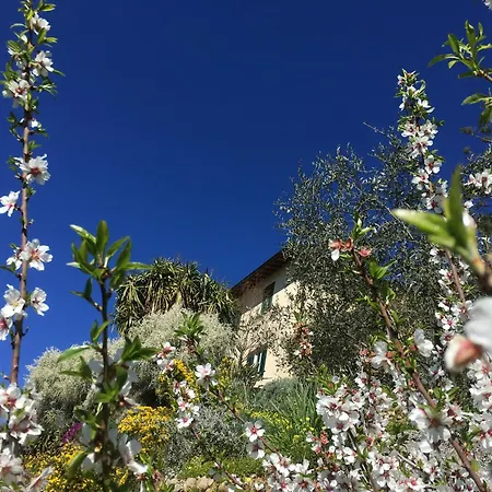 Vento Largo, Casa Irene *