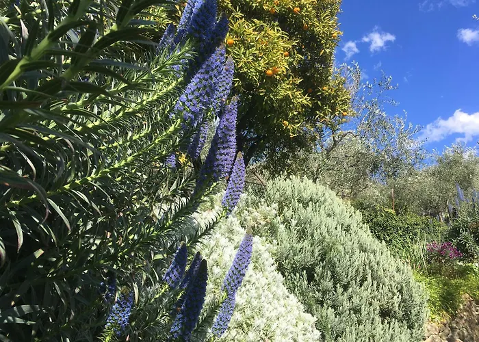 Appartement Vento Largo, Casa Irene