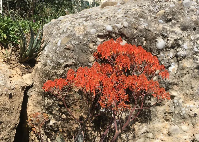 Vento Largo, Casa Irene