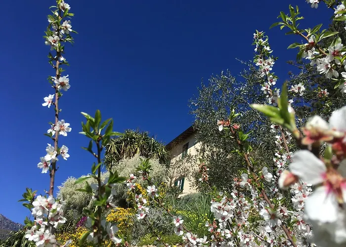 Vento Largo, Casa Irene *