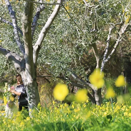 Διαμέρισμα Vento Largo, Casa Irene Βεντιμίλια