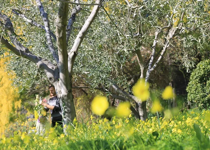 Lejlighed Vento Largo, Casa Irene Ventimiglia